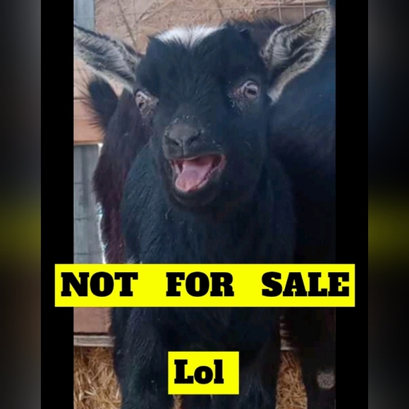 (4/$15)All in motion, size small, sculpt ultra high leggings - Picture 1 of 4